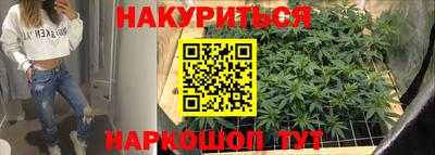 прущие грибы Ставрополь