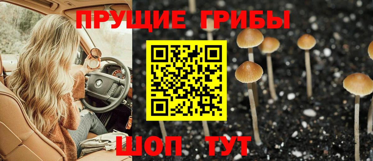 Галлюциногенные грибы прущие грибы  Галлюциногенные грибы Psilocybine cubensis  Вход с VPN  Нерюнгри 